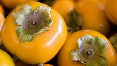 recette confiture kaki